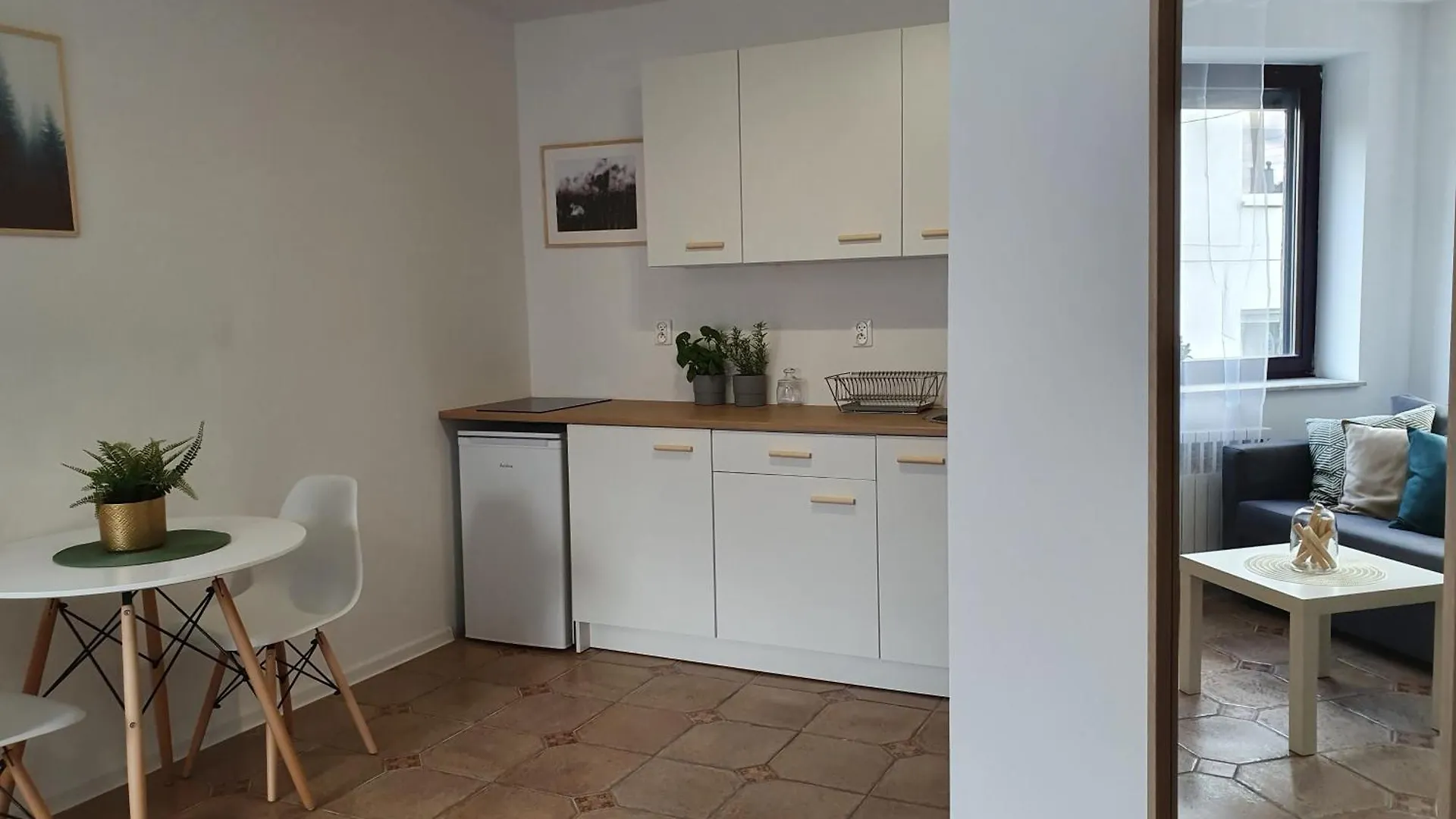 Studio Zubrowe I Gdansk Apartment